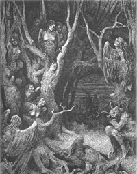 Bondero.Химкинский лес